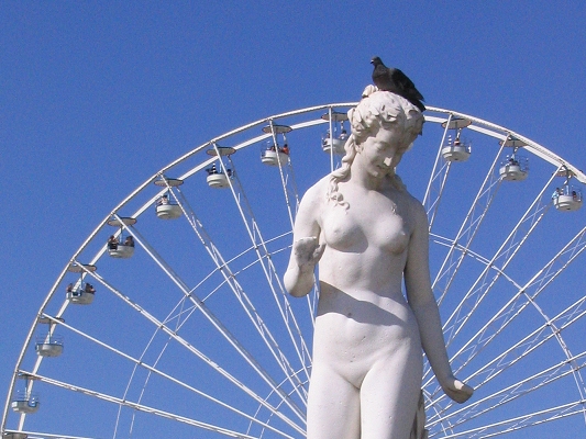 Pariserhjul