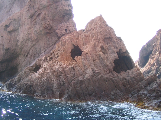 Hajklippe ved Scandola naturreservatet